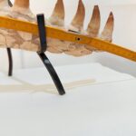 Authentic Fossil Mosasaur Jaw Section with Multiple Teeth Collector Specimen - Image 2