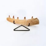 Authentic Fossil Mosasaur Jaw Section with Multiple Teeth Collector Specimen