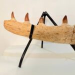 Authentic Fossil Mosasaur Jaw Section with Multiple Teeth Collector Specimen - Image 4