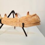 Authentic Fossil Mosasaur Jaw Section with Multiple Teeth Collector Specimen - Image 5