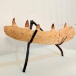 Authentic Fossil Mosasaur Jaw Section with Multiple Teeth Collector Specimen - Image 7