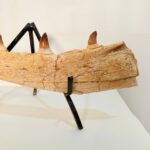 Authentic Fossil Mosasaur Jaw Section with Multiple Teeth Collector Specimen - Image 9