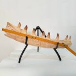 Mosasaur Jaw Fragment Original Teeth Embedded Fossil Display Morocco - Image 13