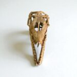 Authentic Mosasaurus Skull Fossil – 40 cm Cretaceous Marine Reptile - Image 3