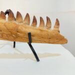 Fossilized Mosasaur Jaw – Genuine Cretaceous Fossil from Morocco - Image 3
