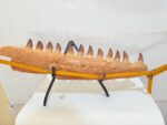 Rare Mosasaurus Jaw Fossil – Prehistoric Marine Reptile from the Dinosaur Age - Image 8