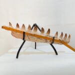 Museum-Quality Fossil Mosasaurus Jaw – Ancient Marine Reptile - Image 8