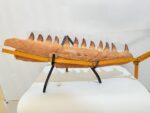 Rare Mosasaurus Jaw Fossil – Prehistoric Marine Reptile from the Dinosaur Age - Image 9