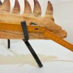 Fossilized Mosasaur Jaw – Genuine Cretaceous Fossil from Morocco - Image 10