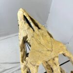 Authentic Mosasaurus Skull Fossil – 125 cm | Museum-Grade - Image 7