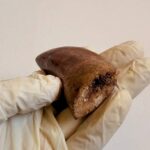 Massive Carcharodontosaurus Tooth – Rare Dinosaur Fossil from the Late Cretaceous - Image 9