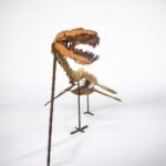 Zarafasaura oceanis – 5m plesiosaurus skeleton , museum-quality marine reptile - Image 11