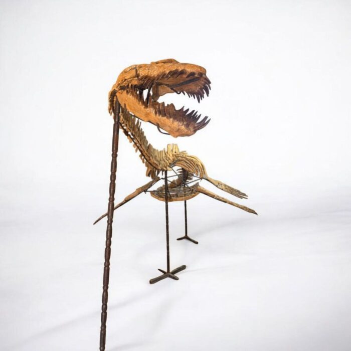 Zarafasaura oceanis – 5m plesiosaurus skeleton , museum-quality marine reptile - Image 11