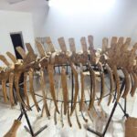 Zarafasaura oceanis – 5m plesiosaurus skeleton , museum-quality marine reptile - Image 9