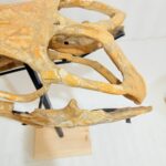 Mosasaur Skull fossil (60 cm) from Morocco Late Cretaceous specimen - Image 12