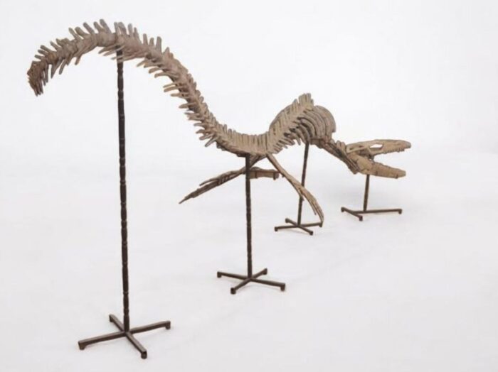 Large Mosasaur Skeleton – Museum Quality Fossil | Authentic Paleontology Specimen - Image 10