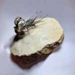 Koneprusia Trilobite Fossil – Rare Spiny Trilobite from Morocco - Image 3