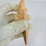 Fossil Shark Tooth - Otodus Obliquus |  3.34 Inches | Excellent Detail - Image 7