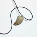 Authentic Mosasaur tooth pendant fossil from Morocco