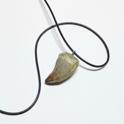Authentic Mosasaur tooth pendant fossil from Morocco