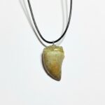 Authentic Mosasaur tooth pendant fossil from Morocco