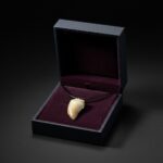 Authentic Mosasaur tooth pendant fossil from Morocco