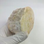 Authentic Plesiosaur Vertebra Fossil – Jurassic Marine Reptile Fossil | FossilPaleo - Image 5