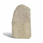 Moroccan Devonian trilobite fossil cluster preserved in natural limestone