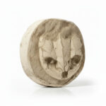 Fossil Turtle Skull – Rare Late Cretaceous North African Specimen - Image 2