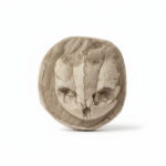 Fossil Turtle Skull – Rare Late Cretaceous North African Specimen - Image 4