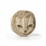 Fossil Turtle Skull – Rare Late Cretaceous North African Specimen