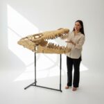 Authentic 100 cm Mosasaurus Skull Fossil – Museum-Grade with Certificate