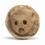 Fossil turtle skull preserved inside a split stone concretion, showing the eye sockets and nasal openings in natural rock matrix.