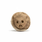 Fossil turtle skull preserved inside a split stone concretion, showing the eye sockets and nasal openings in natural rock matrix.