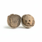 Fossil turtle skull preserved inside a split stone concretion, showing the eye sockets and nasal openings in natural rock matrix.