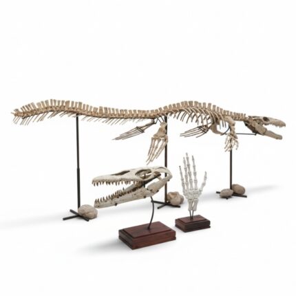 A Day in the Life of a Mosasaur