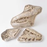 Giant Mosasaur Skull Fossil – 145cm Museum Specimen | FossilPaleo - Image 2