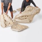 Giant Mosasaur Skull Fossil – 145cm Museum Specimen | FossilPaleo