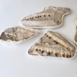 Giant Mosasaur Skull Fossil – 145cm Museum Specimen | FossilPaleo - Image 6